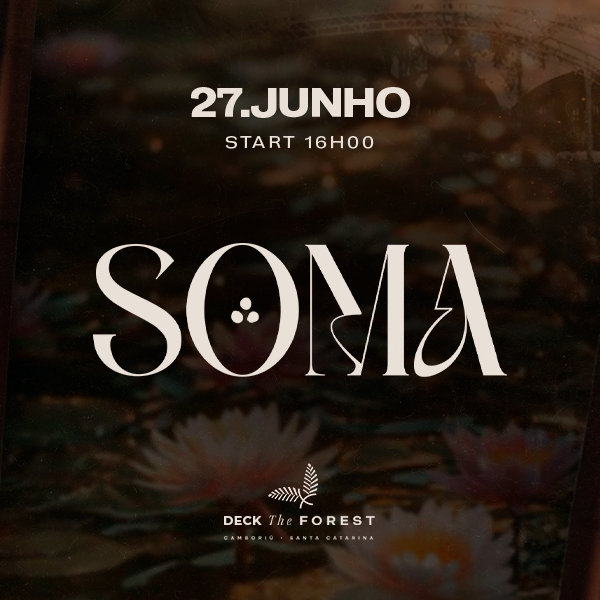 The Forest - Soma em Camboriu
